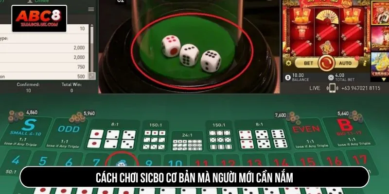 Cách chơi sicbo cơ bản mà người mới cần nắm