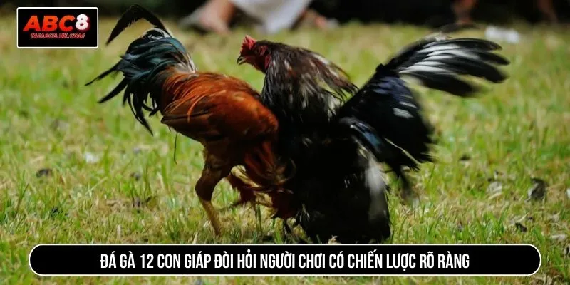 Đá gà 12 con giáp đòi hỏi người chơi có chiến lược rõ ràng