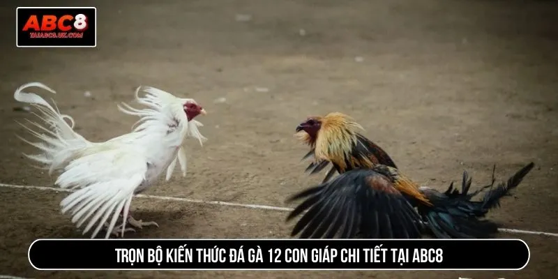 Đá gà 12 con giáp