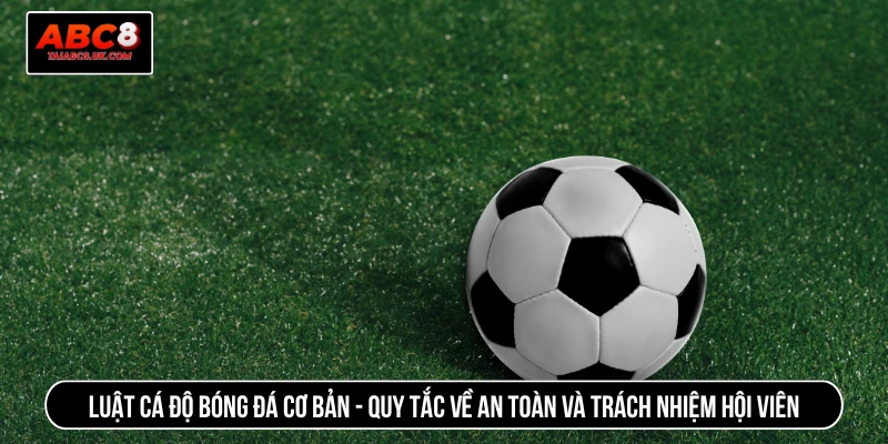 Luật cá độ bóng đá cơ bản - Quy tắc về an toàn và trách nhiệm hội viên