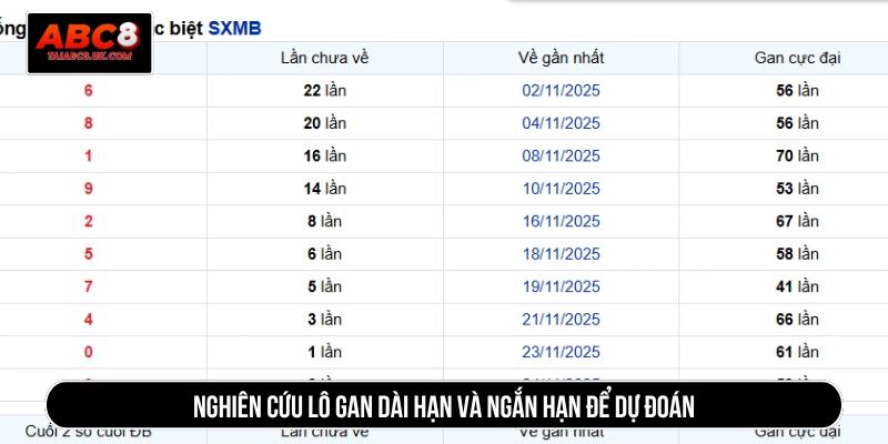 Nghiên cứu lô gan dài hạn và ngắn hạn để dự đoán