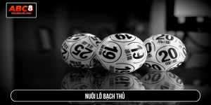 Nuôi lô bạch thủ