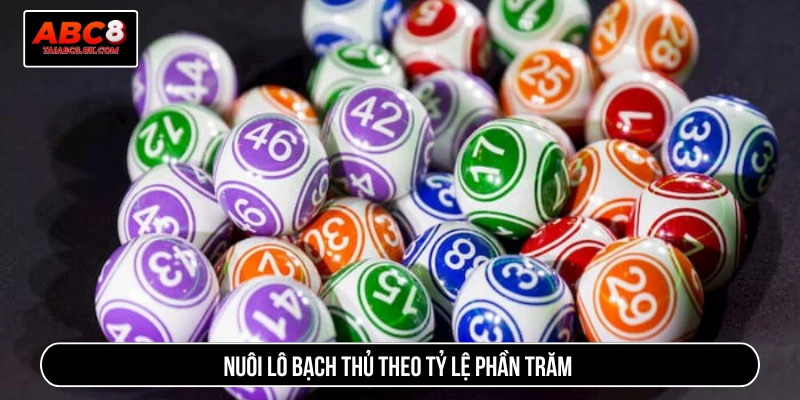 Nuôi lô bạch thủ theo tỷ lệ phần trăm 