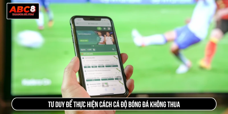 Tư duy để thực hiện cách cá độ bóng đá không thua